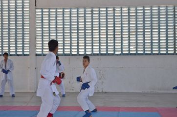Fase do Campeonato Cearense de Karate 2014 - Foto 353