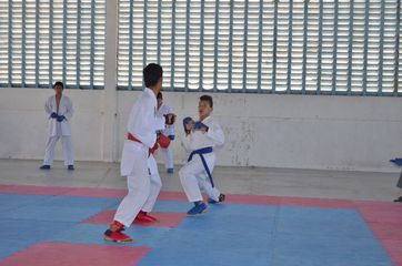 Fase do Campeonato Cearense de Karate 2014 - Foto 354