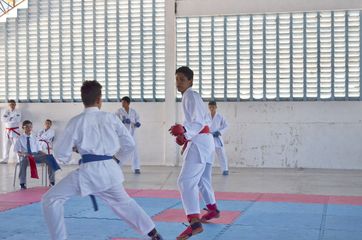 Fase do Campeonato Cearense de Karate 2014 - Foto 356