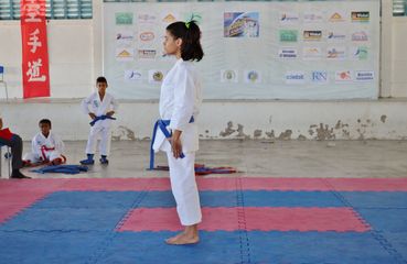 Fase do Campeonato Cearense de Karate 2014 - Foto 358