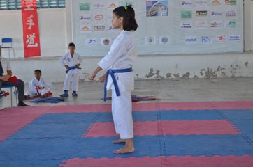 Fase do Campeonato Cearense de Karate 2014 - Foto 359