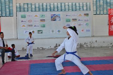 Fase do Campeonato Cearense de Karate 2014 - Foto 360