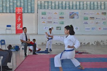 Fase do Campeonato Cearense de Karate 2014 - Foto 361