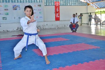 Fase do Campeonato Cearense de Karate 2014 - Foto 362