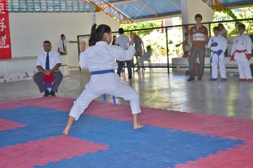 Fase do Campeonato Cearense de Karate 2014 - Foto 363