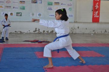 Fase do Campeonato Cearense de Karate 2014 - Foto 364