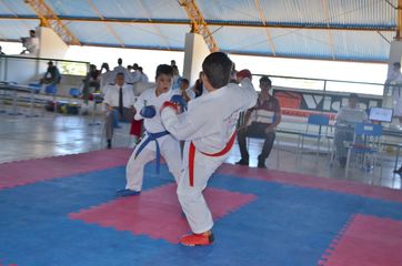 Fase do Campeonato Cearense de Karate 2014 - Foto 371