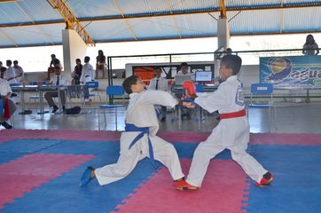 Fase do Campeonato Cearense de Karate 2014 - Foto 374