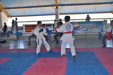 Fase do Campeonato Cearense de Karate 2014 - Foto 376
