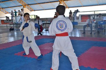 Fase do Campeonato Cearense de Karate 2014 - Foto 378