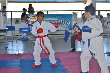 Fase do Campeonato Cearense de Karate 2014 - Foto 379