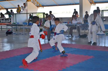 Fase do Campeonato Cearense de Karate 2014 - Foto 381