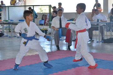 Fase do Campeonato Cearense de Karate 2014 - Foto 382