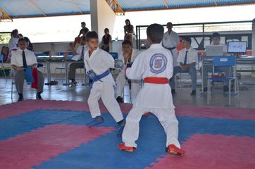 Fase do Campeonato Cearense de Karate 2014 - Foto 385