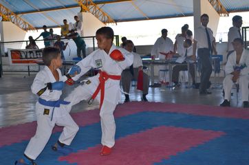 Fase do Campeonato Cearense de Karate 2014 - Foto 388
