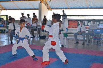 Fase do Campeonato Cearense de Karate 2014 - Foto 389