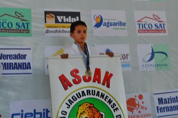 Fase do Campeonato Cearense de Karate 2014 - Foto 398