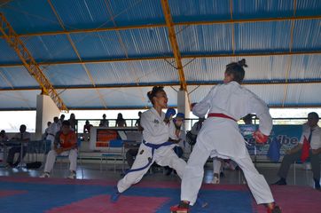 Fase do Campeonato Cearense de Karate 2014 - Foto 405