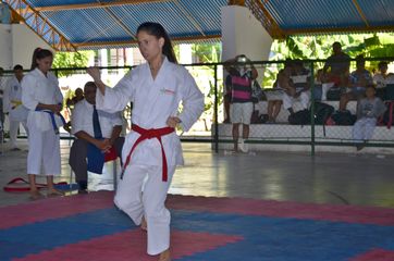 Fase do Campeonato Cearense de Karate 2014 - Foto 415