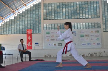 Fase do Campeonato Cearense de Karate 2014 - Foto 418