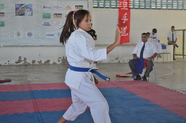 Fase do Campeonato Cearense de Karate 2014 - Foto 421