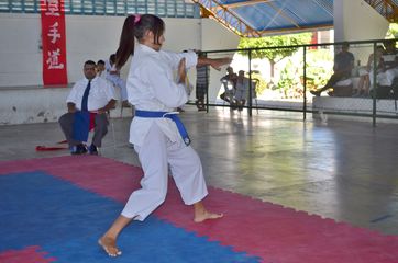 Fase do Campeonato Cearense de Karate 2014 - Foto 422
