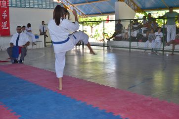 Fase do Campeonato Cearense de Karate 2014 - Foto 423
