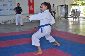Fase do Campeonato Cearense de Karate 2014 - Foto 424