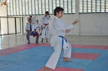 Fase do Campeonato Cearense de Karate 2014 - Foto 427