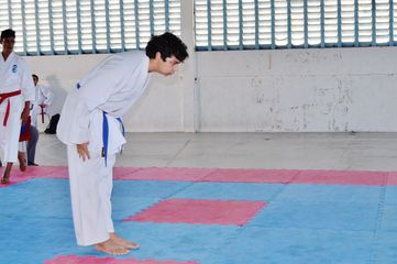 Fase do Campeonato Cearense de Karate 2014 - Foto 428