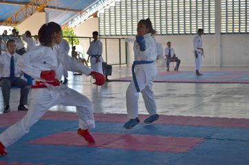 Fase do Campeonato Cearense de Karate 2014 - Foto 429