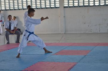 Fase do Campeonato Cearense de Karate 2014 - Foto 430