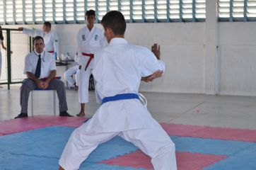 Fase do Campeonato Cearense de Karate 2014 - Foto 436
