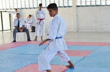 Fase do Campeonato Cearense de Karate 2014 - Foto 438