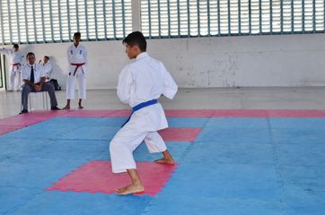 Fase do Campeonato Cearense de Karate 2014 - Foto 440