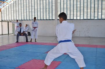 Fase do Campeonato Cearense de Karate 2014 - Foto 441