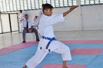 Fase do Campeonato Cearense de Karate 2014 - Foto 442