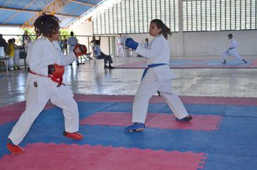 Fase do Campeonato Cearense de Karate 2014 - Foto 443