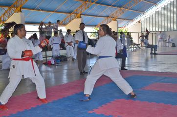 Fase do Campeonato Cearense de Karate 2014 - Foto 445