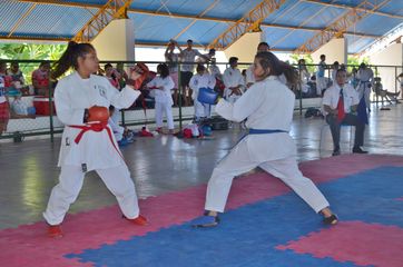 Fase do Campeonato Cearense de Karate 2014 - Foto 446