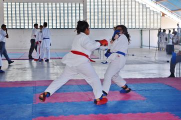 Fase do Campeonato Cearense de Karate 2014 - Foto 448