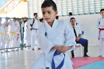 Fase do Campeonato Cearense de Karate 2014 - Foto 523