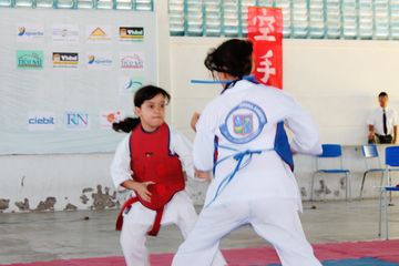 Fase do Campeonato Cearense de Karate 2014 - Foto 525