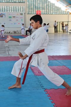 Fase do Campeonato Cearense de Karate 2014 - Foto 536