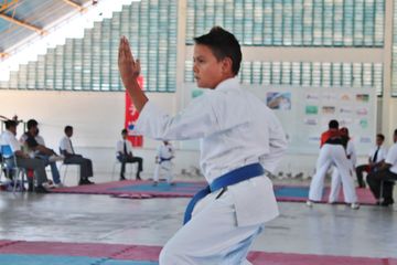 Fase do Campeonato Cearense de Karate 2014 - Foto 539
