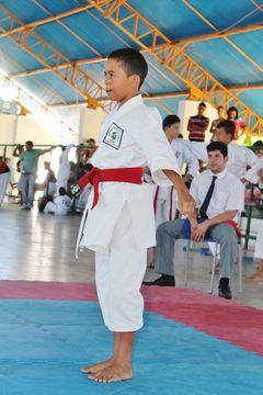 Fase do Campeonato Cearense de Karate 2014 - Foto 553