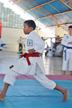 Fase do Campeonato Cearense de Karate 2014 - Foto 554