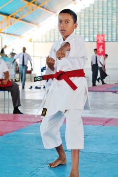 Fase do Campeonato Cearense de Karate 2014 - Foto 556