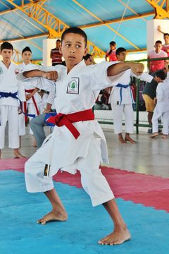 Fase do Campeonato Cearense de Karate 2014 - Foto 561