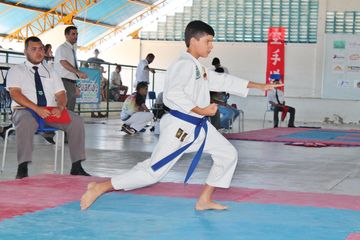 Fase do Campeonato Cearense de Karate 2014 - Foto 566